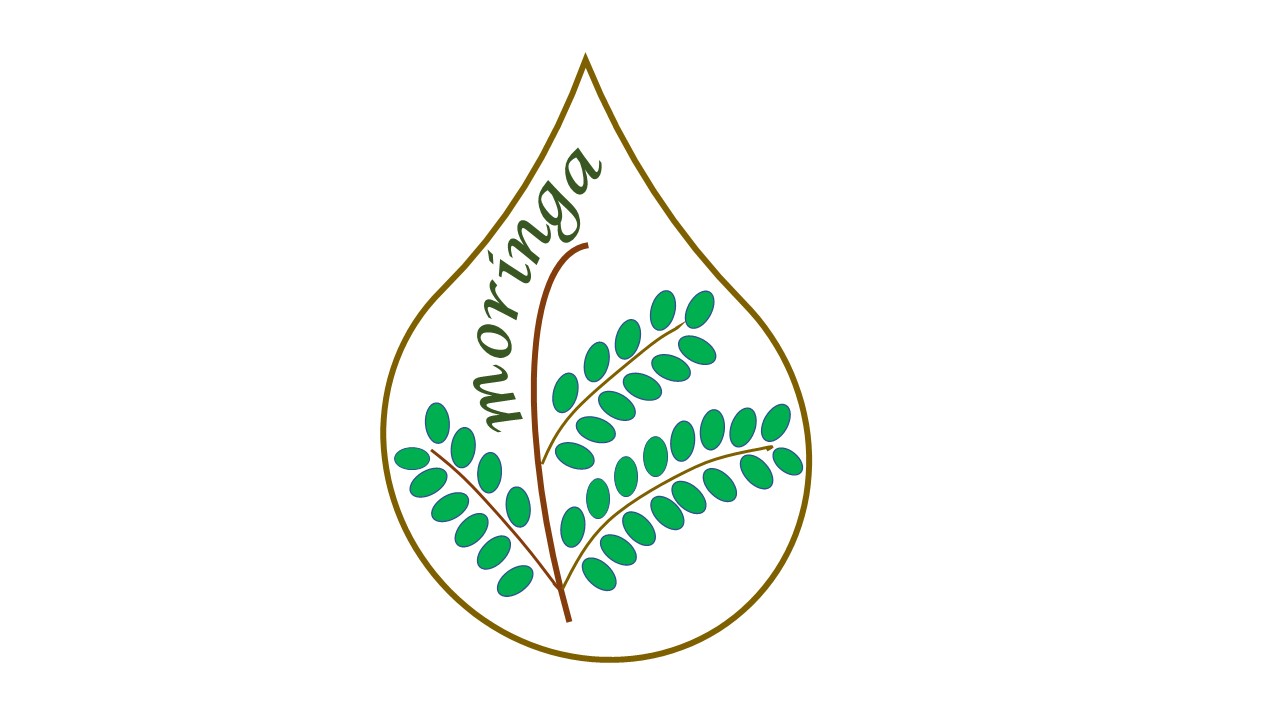 Moringa Çayı